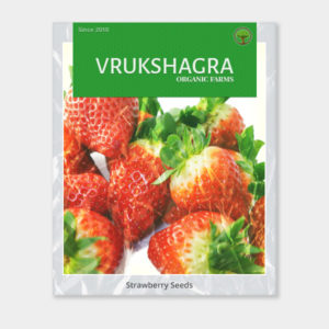 Seductive Strawberry's