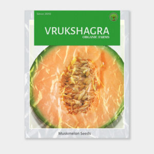 Musk Melon