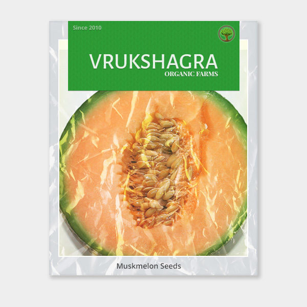 Musk Melon